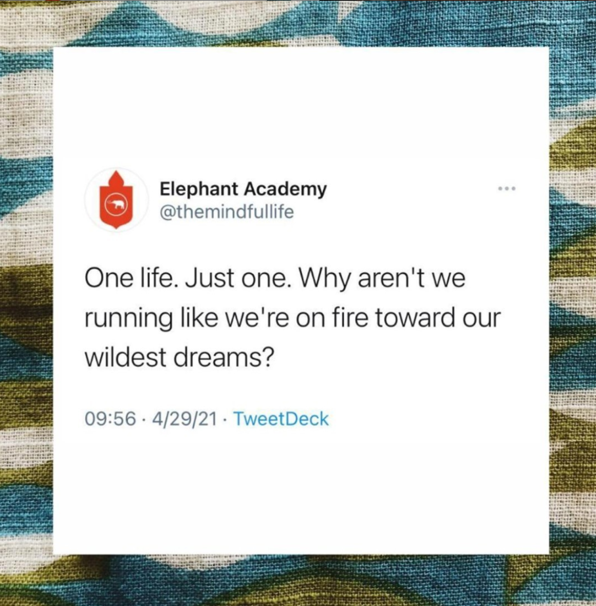 Powerful Quote from @elephantjournal